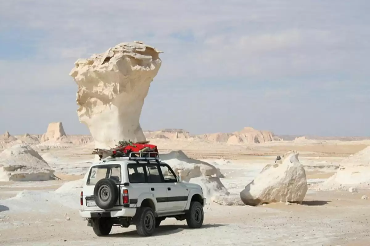 Day tour to white desert and bahariya oasis tour