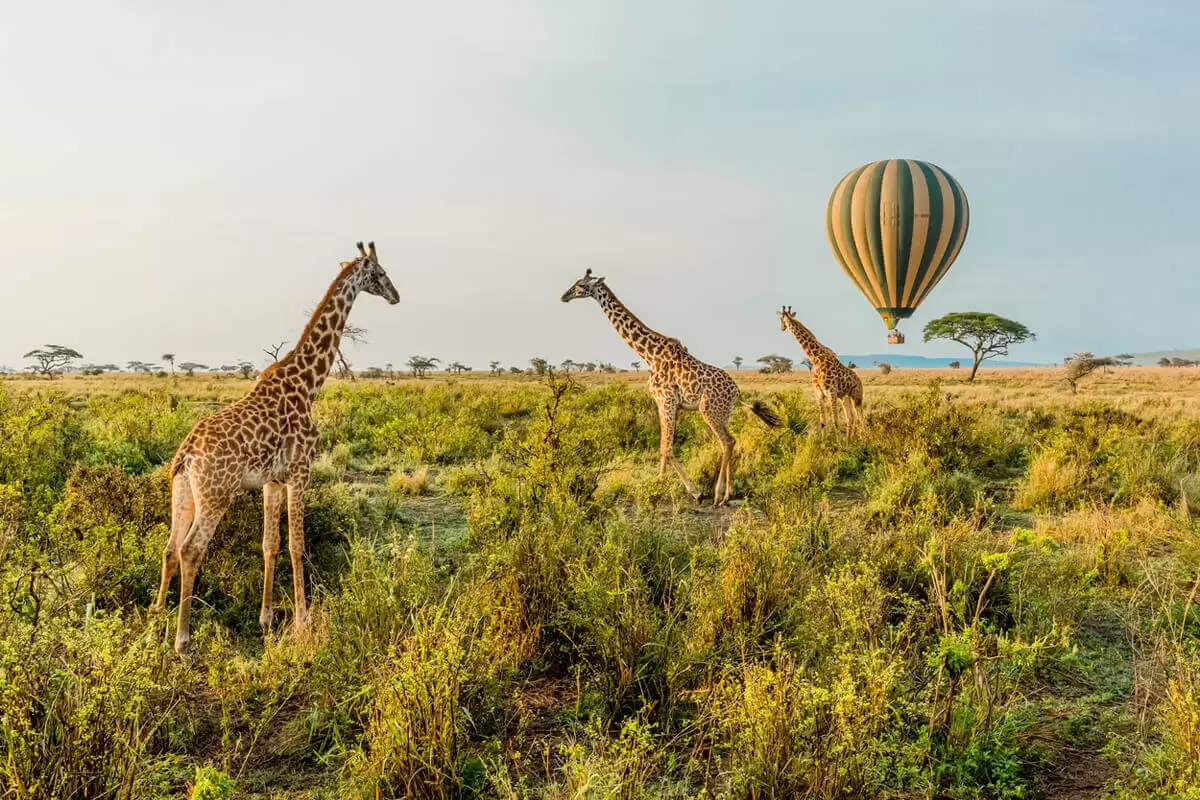 Tanzania